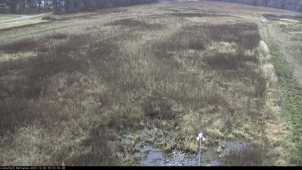 Cell 1_23-12-06_09-53-34-82