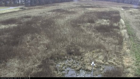 Cell 1_23-12-06_11-34-03-79