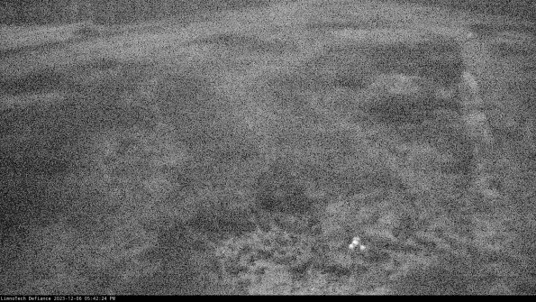 Cell 1_23-12-06_17-42-24-79