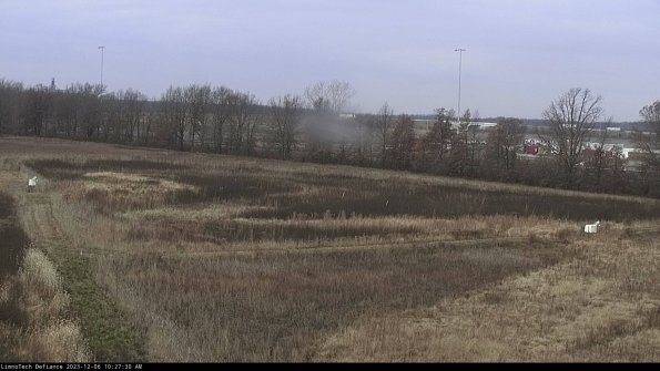 Cell 2_23-12-06_10-27-30-79