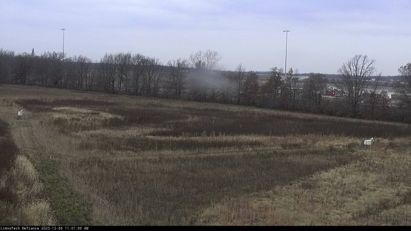 Cell 2_23-12-06_11-01-00-80