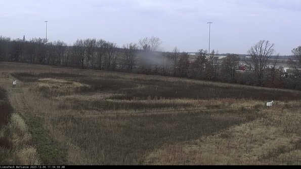 Cell 2_23-12-06_11-34-30-82