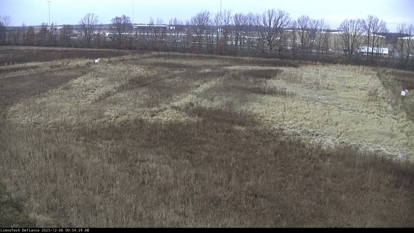 Cell 3_23-12-06_09-54-29-80