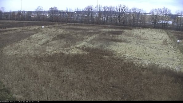 Cell 3_23-12-06_11-01-28-80