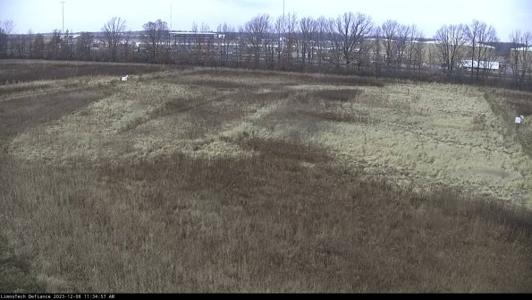 Cell 3_23-12-06_11-34-58-01