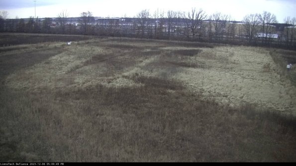 Cell 3_23-12-06_17-09-49-80