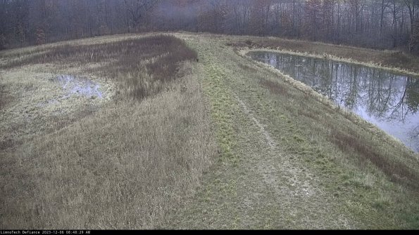 Cell 4 to Basin_23-12-06_08-48-29-80