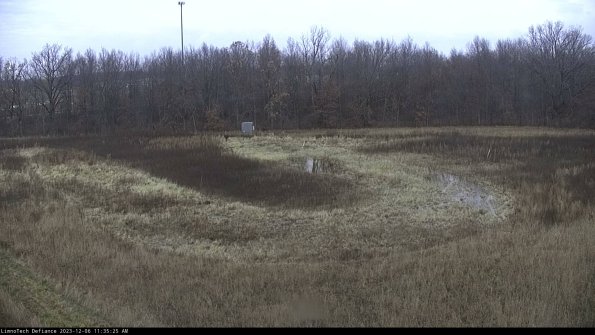 Cell 4_23-12-06_11-35-25-77