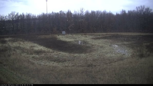 Cell 4_23-12-06_17-10-17-79