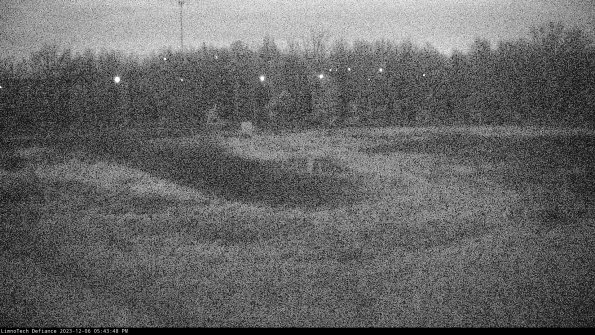 Cell 4_23-12-06_17-43-48-81