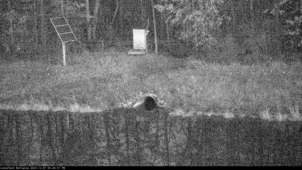 Basin Inflow_23-12-07_17-44-51-91