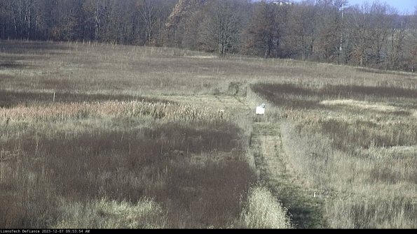 Cell 1 to 2_23-12-07_09-53-54-78