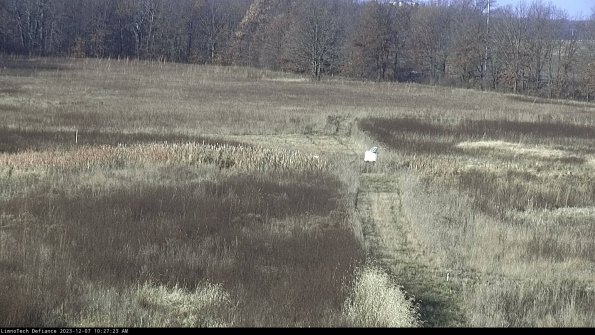 Cell 1 to 2_23-12-07_10-27-23-76