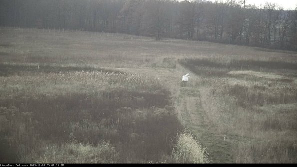 Cell 1 to 2_23-12-07_17-09-15-77