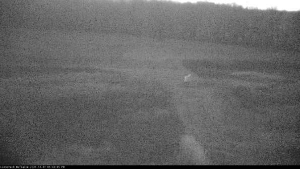 Cell 1 to 2_23-12-07_17-42-45-75