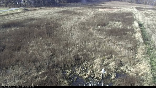 Cell 1_23-12-07_09-53-40-80