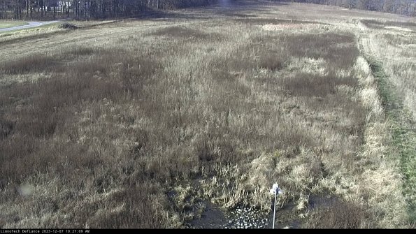 Cell 1_23-12-07_10-27-09-78