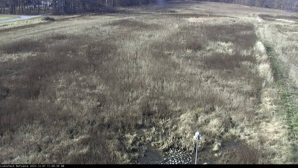 Cell 1_23-12-07_11-00-39-80