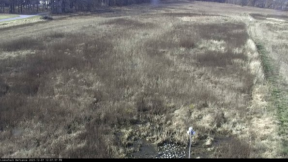 Cell 1_23-12-07_12-07-37-76