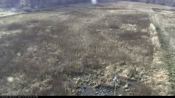 Cell 1_23-12-07_14-21-35-77