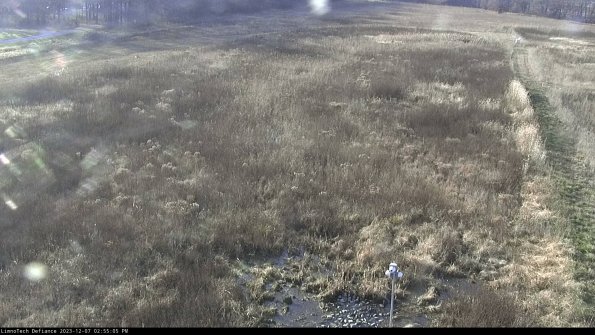 Cell 1_23-12-07_14-55-05-79