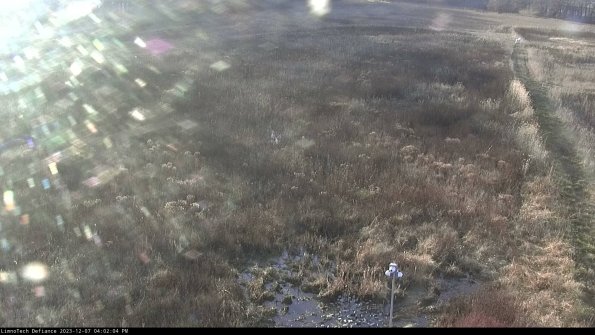 Cell 1_23-12-07_16-02-04-76