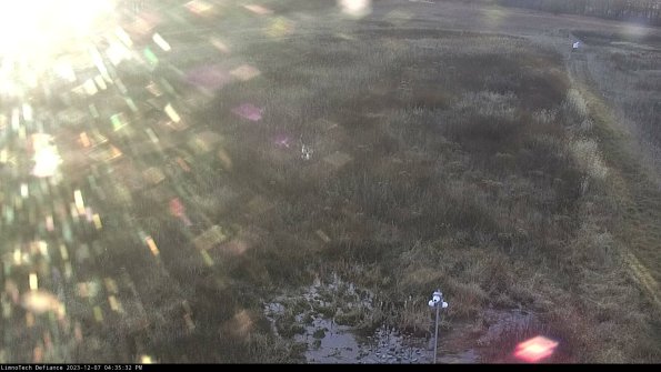 Cell 1_23-12-07_16-35-32-77