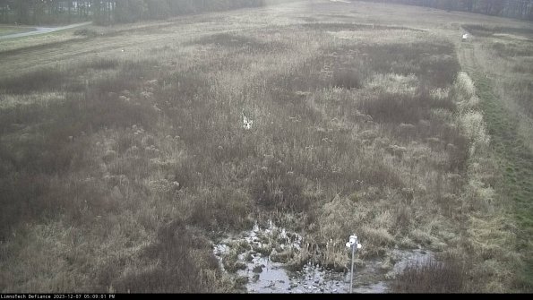 Cell 1_23-12-07_17-09-01-79