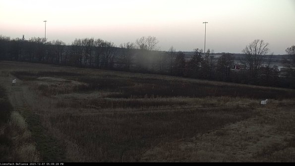 Cell 2_23-12-07_17-09-28-82