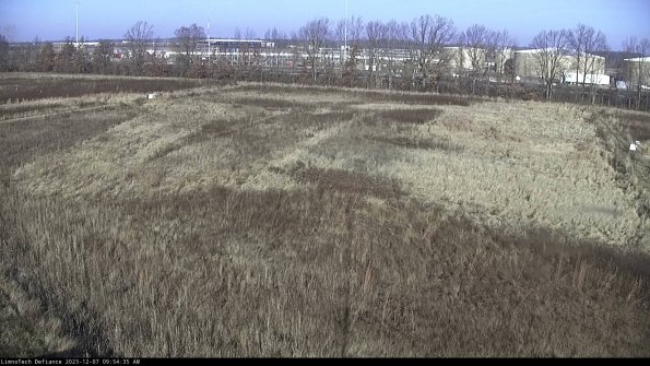 Cell 3_23-12-07_09-54-35-78