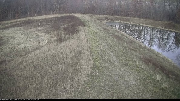 Cell 4 to Basin_23-12-07_17-10-54-77