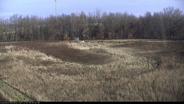 Cell 4_23-12-07_09-55-03-78