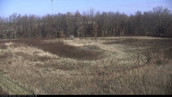 Cell 4_23-12-07_11-02-02-78