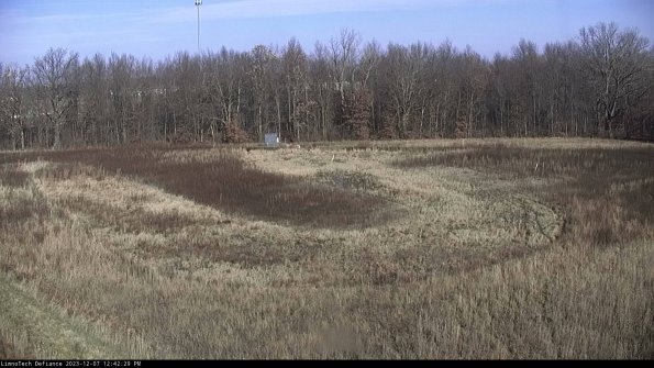 Cell 4_23-12-07_12-42-29-79