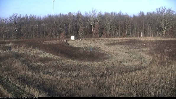 Cell 4_23-12-07_16-03-26-77