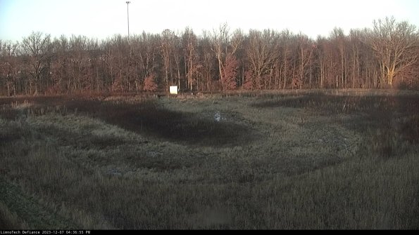 Cell 4_23-12-07_16-36-55-79