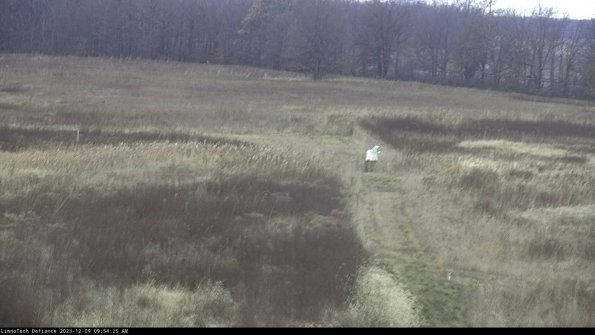 Cell 1 to 2_23-12-09_09-54-25-78