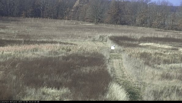 Cell 1 to 2_23-12-09_10-27-54-80