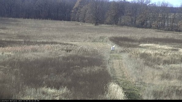 Cell 1 to 2_23-12-09_14-22-20-77