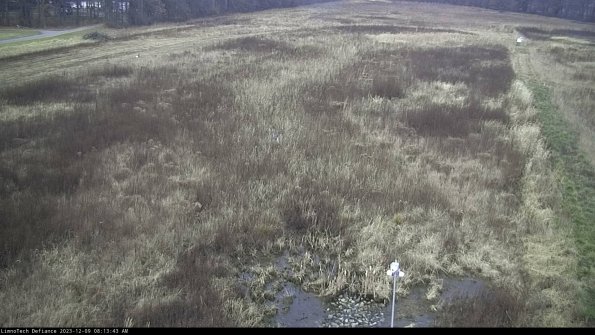 Cell 1_23-12-09_08-13-43-78