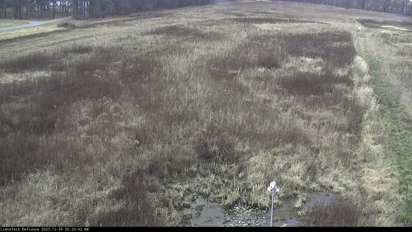 Cell 1_23-12-09_09-20-42-78