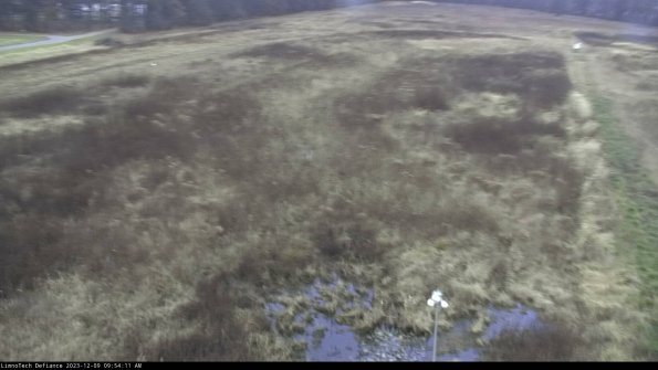 Cell 1_23-12-09_09-54-11-77