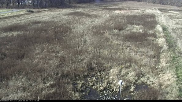 Cell 1_23-12-09_10-27-40-75