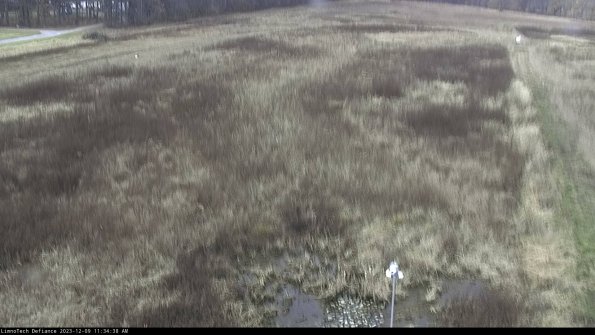 Cell 1_23-12-09_11-34-38-79