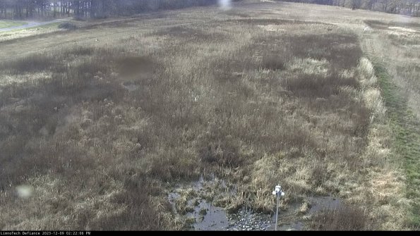 Cell 1_23-12-09_14-22-06-79