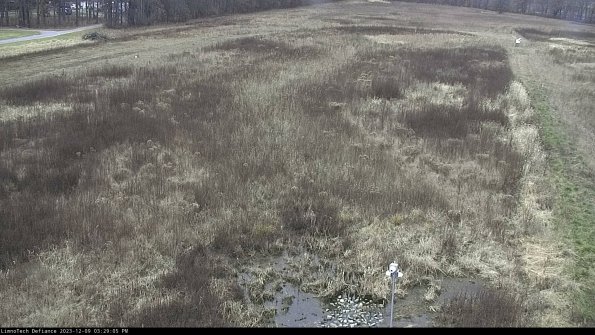 Cell 1_23-12-09_15-29-05-79