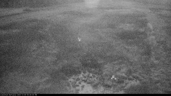 Cell 1_23-12-09_17-43-03-76