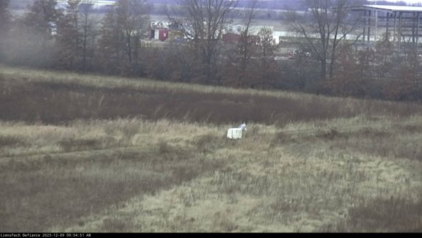 Cell 2 to 3_23-12-09_09-54-51-98