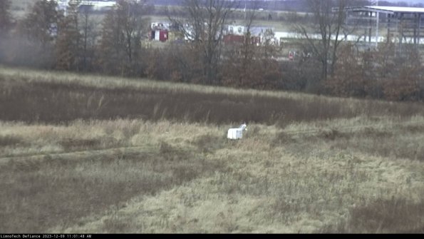 Cell 2 to 3_23-12-09_11-01-48-88