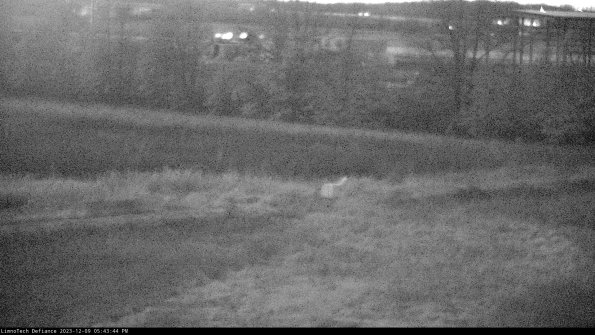 Cell 2 to 3_23-12-09_17-43-44-77